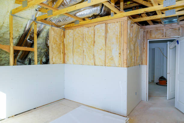 Best Spray Foam Insulation in Caseyvle, IL