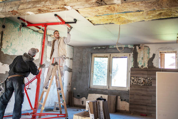 Best Eco-Friendly Insulation in Caseyvle, IL