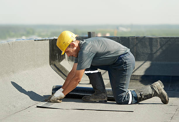 Best Spray Foam Insulation in Caseyvle, IL