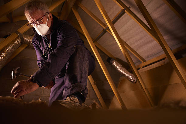 Best Cellulose Insulation in Caseyvle, IL