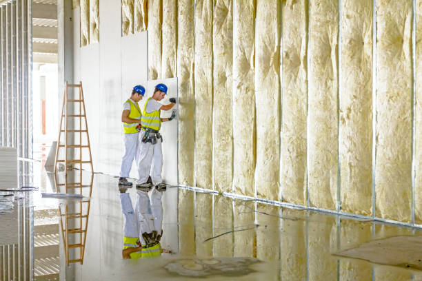 Caseyville, IL Insulation Contractor Company